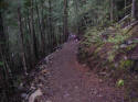 Hiking Trail from Dutch Lake Resort, Clearwater, BC, Canada